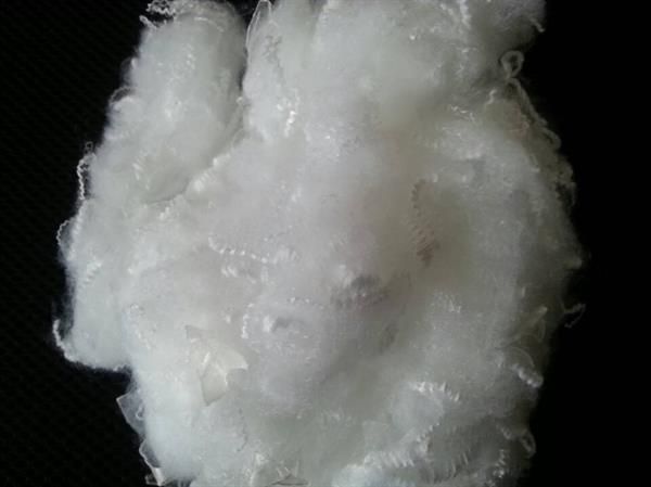 Polyester Fibre